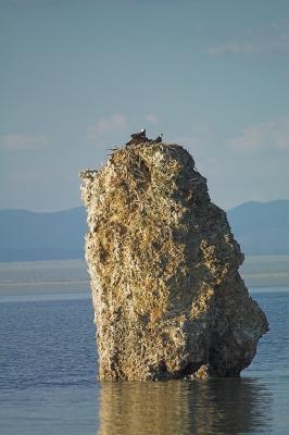 Osprey Nest, South Tufa, Mono Lake