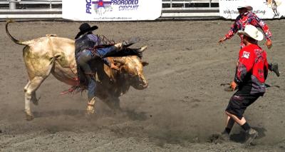 Chino Ca. Rodeo 2005