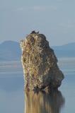 Osprey Nest, South Tufa, Mono Lake