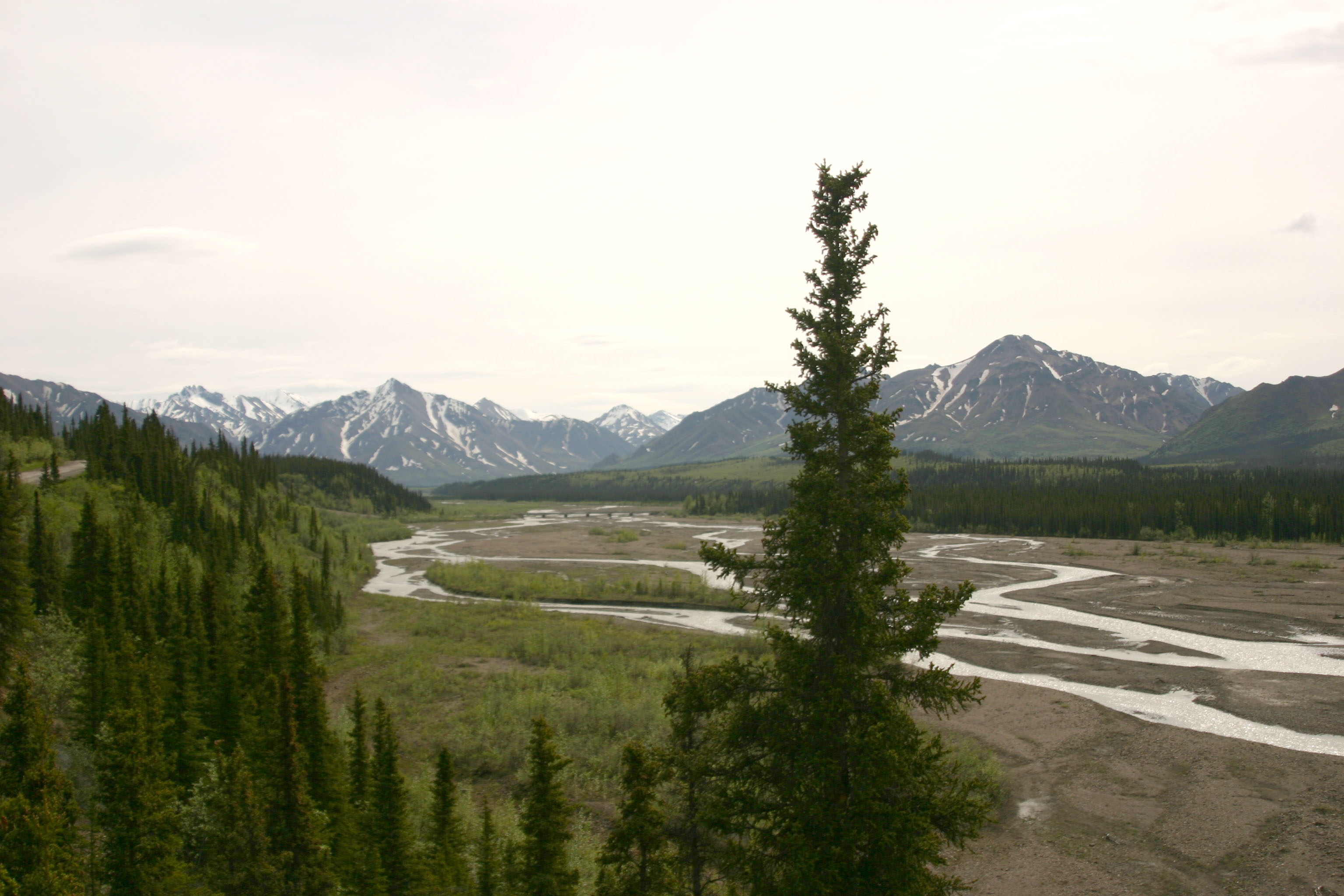 In Denali National Park   0900