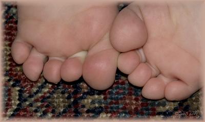 pink little piggies