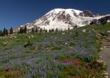 Alta Vista trail