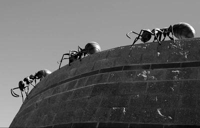 The ants go marching one by one...