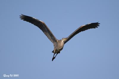 CRW_2764_650.jpg
