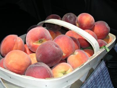 South Carolina Peaches