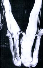 bernice worden.jpg