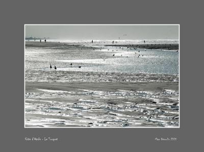 Le Touquet's beach 1