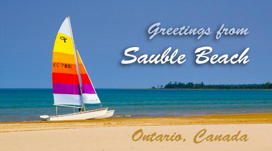 Cat on the Beach Postcard