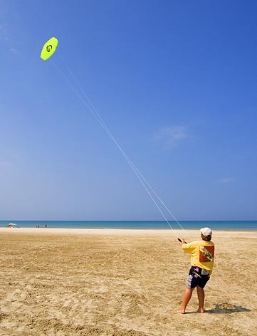 Flying a Kite 14017