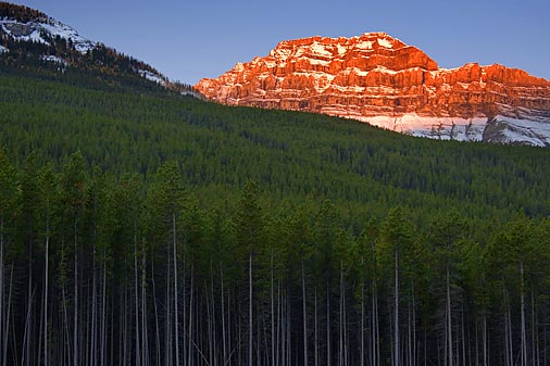Canadian Rockies at Sunrise 17938