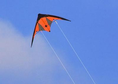 Flying Kite 12595