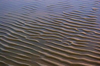 Sunset Ripples in the Sand 12762