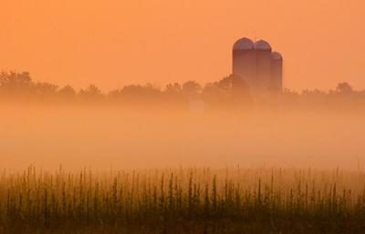 Silos in a Rosy Dawn