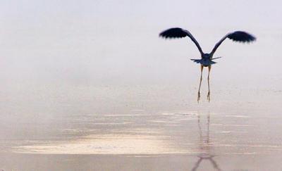 Heron Takeoff