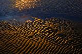 Sunset Ripples in the Sand 12751
