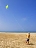 Flying a Kite 14017
