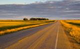 Prairie Road at Sunset
