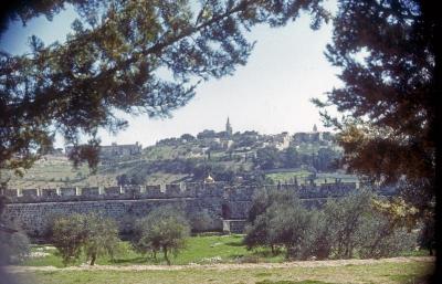 The Mount of Olives from the Temple Area