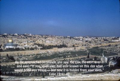 Jerusalem Panorama from the Mount of Olives - Luke 19