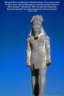 Pharaoh Ramsis II - Thought by Many to be the Pharaoh of the Exodus