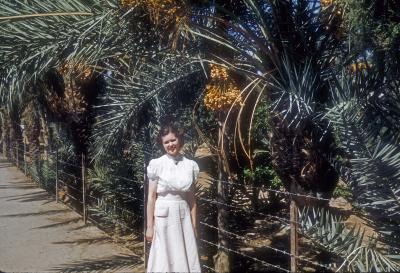 Sue with Date Palms in Jericho