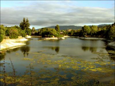 McCellan Ranch Percolation Pond