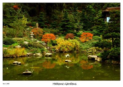 Fall colors at Hakone Gardens