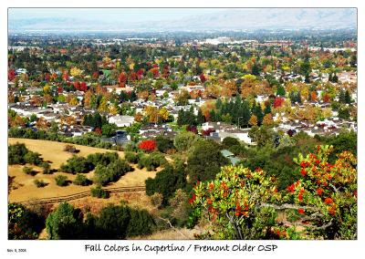 Fall colors of Cupertino