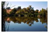 Lake Arastradero