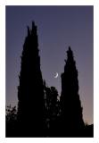 Venus and the new Moon setting