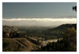 Foggy Valley