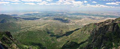 Tram Panorama