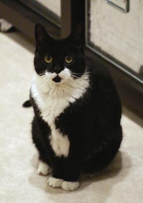 Pepper