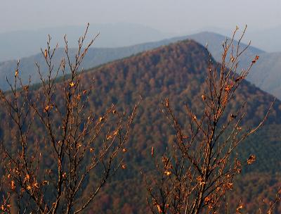 IMG_6010pb.jpg