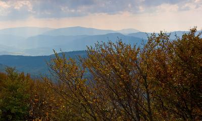IMG_6100pb.jpg