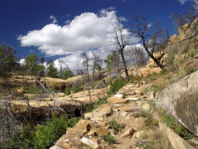 Mesa Verde National Park hiking