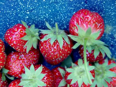 strawberries in a bowl