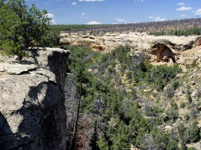 Mesa Verde National Park cliff dwellings
DSC04855.jpg