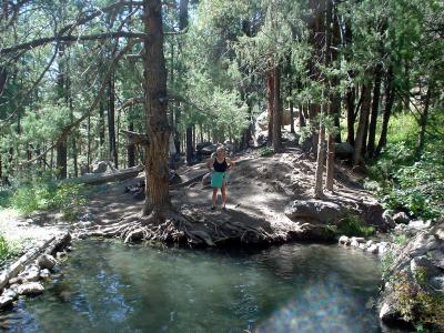 McCauley Hot Spring, New Mexico