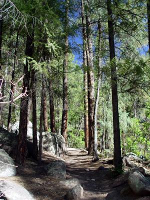 Trail to McCauley Hot Spring, New Mexico