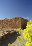 Mesa Verde National Park ruins