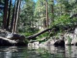 McCauley Hot Spring, New Mexico  DSC04382.jpg