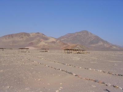 Field of Bones