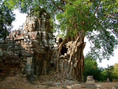 v3/76/313376/3/47504456.Angkor3.jpg
