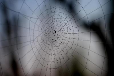 black web
