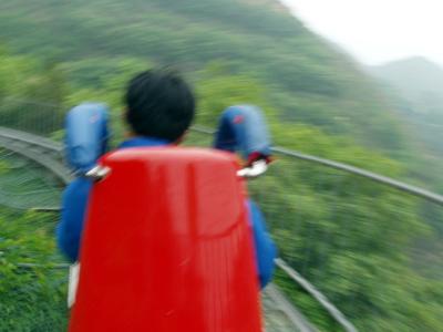 rollercoaster2.jpg