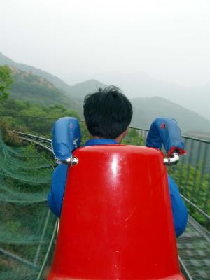 rollercoaster4.jpg