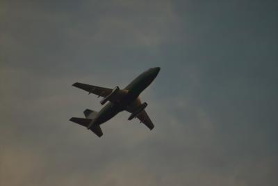 IMG05958.jpg