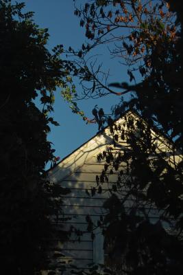 IMG06041.jpg
