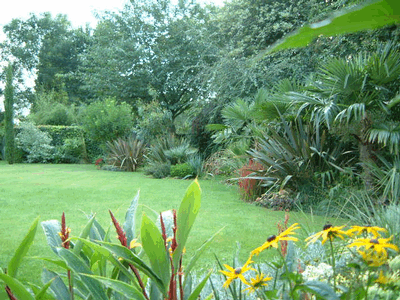John's previous garden in Notts (UK)